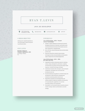Java JEE Developer Resume
