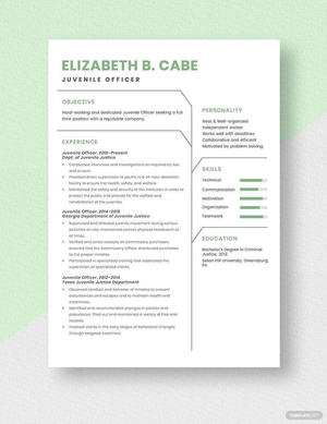 Juvenile Officer Resume