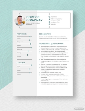 Public Sector Account Manager Resume