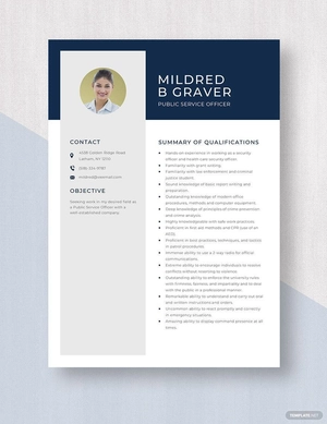 Public Service Officer Resume