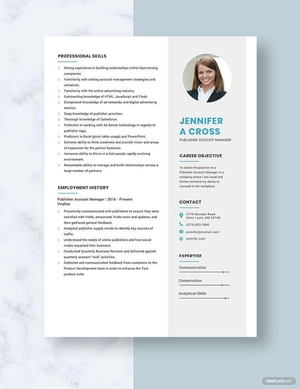 Publisher Account Manager Resume