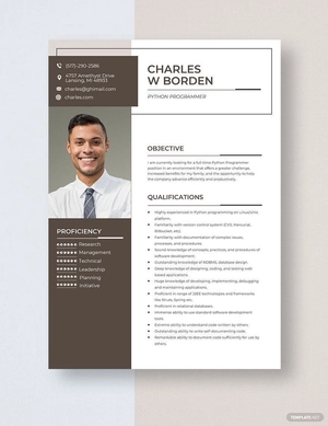 Python Programmer Resume