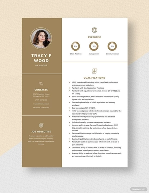 QA Auditor Resume