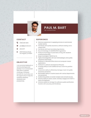 QA Supervisor Resume