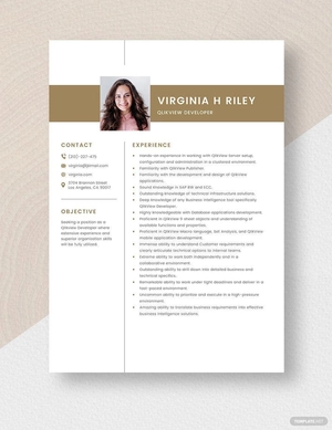 Qlikview Developer Resume