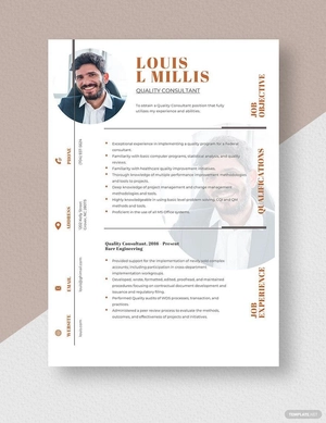 Quality Consultant Resume