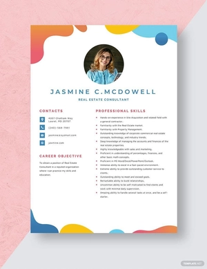 Real Estate Consultant Resume