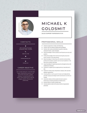 Sales Support Representative Resume
