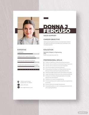 Sales Support Resume