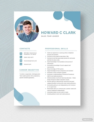 Sales Team Leader Resume