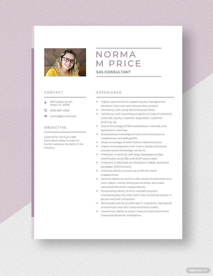 SAS Consultant Resume