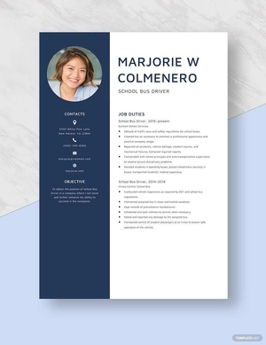 School Bus Driver Resume