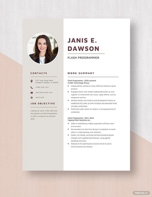 Flash Programmer Resume
