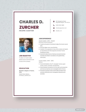 Income Auditor Resume