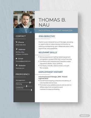 Industrial Account Manager Resume