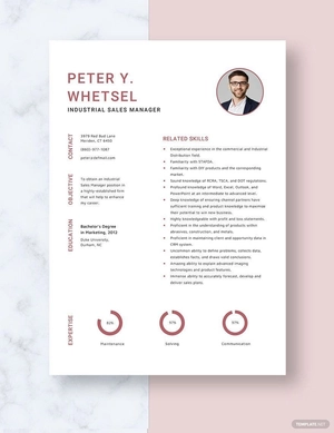 Industrial Sales Manager Resume