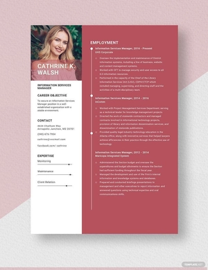 Information Services Manager Resume