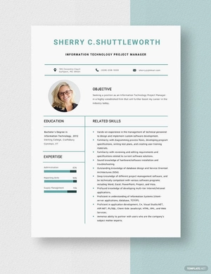 Information Technology Project Manager Resume