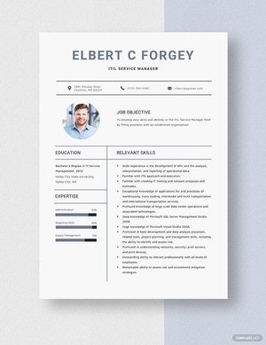 ITIL Service Manager Resume