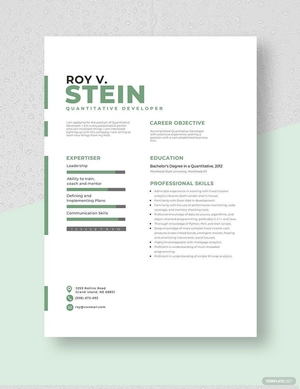 Quantitative Developer Resume