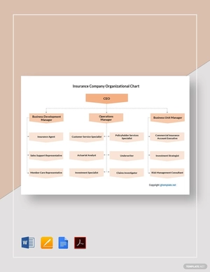 Insurance Company Organizational Chart Template