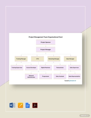 Project Management Team Organizational Chart Template