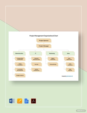 Sample Project Management Organizational Chart Template