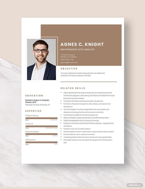 Maintenance Data Analyst Resume