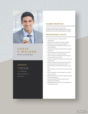Hotel Accountant Resume
