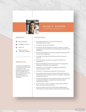 Management Coordinator Resume