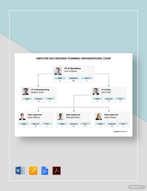 Employee Succession Planning Organizational Chart Template