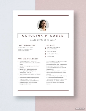 Sales Support Analyst Resume