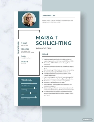 SAP BI Developer Resume