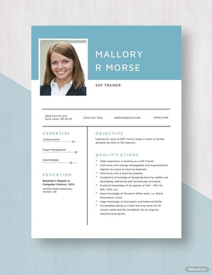 SAP Trainer Resume