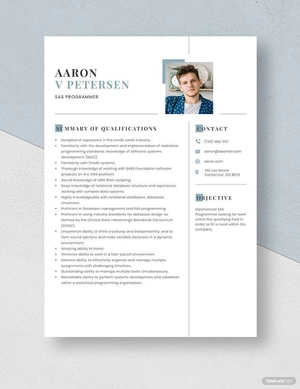 SAS Programmer Resume