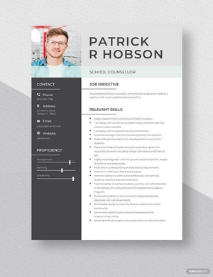 School Counsellor Resume