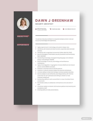 Security Architect Resume