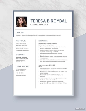 Segment Producer Resume