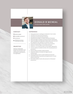 Collections Team Leader Resume