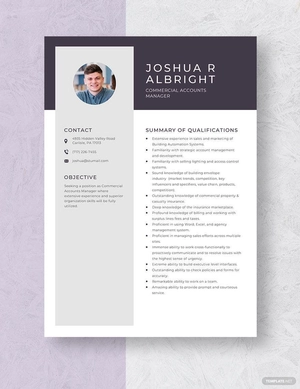 Commercial Accounts Manager Resume