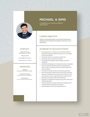 Commercial Development Manager Resume