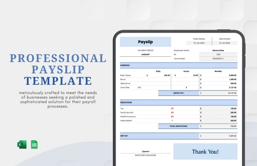 Professional Payslip Template