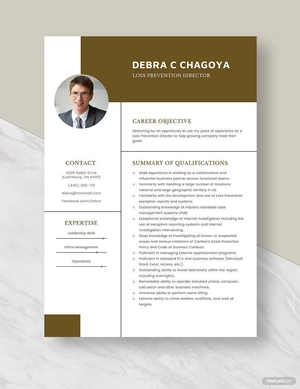 Loss Prevention Director Resume