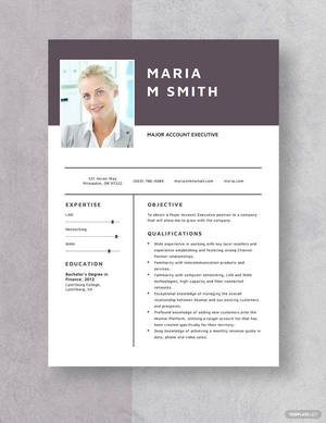 Major Account Executive Resume