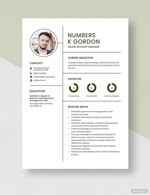 Major Account Manager Resume