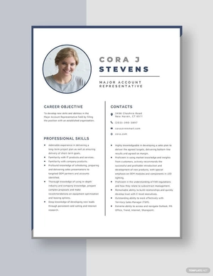 Major Account Representative Resume