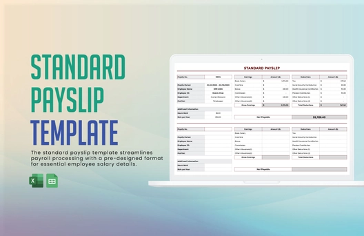 Standard Payslip Template