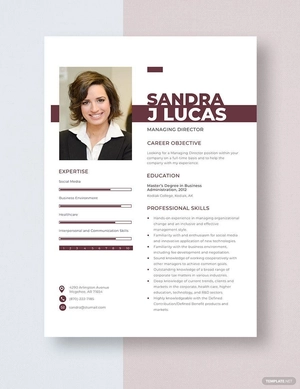 Managing Director Resume