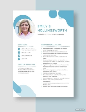 Market Development Manager Resume