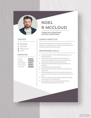 Marketing Advertising Account Supervisor Resume